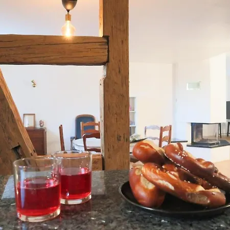 アパート Au Coin Du Feu, Authentic & Natural Wahlbach