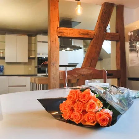 アパート Au Coin Du Feu, Authentic & Natural Wahlbach